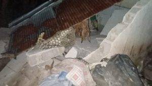 Gempa Karangasem