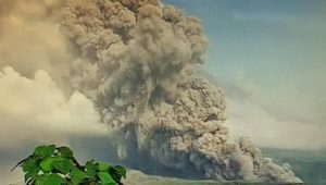 Erupsi Semeru