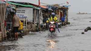 Banjir rob