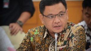 Ace Hasan Syadzily