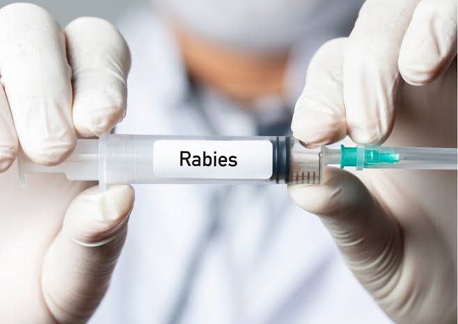 Vaksin rabies
