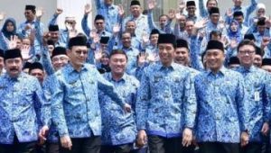 PNS