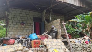 Empat warga tewas usai gempa di Jayapura
