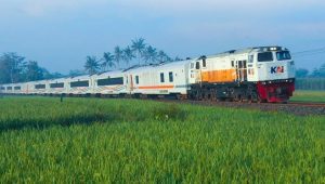 Kereta Api Indonesia/Ist