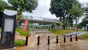 Taman Literasi