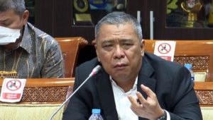 Waketum NasDem Ahmad Ali. | Dok NasDem