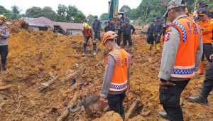 Petugas gabungan mencari korban longsor di Natuna. | Dok Basarnas