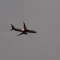 Pesawat American Airlines terbakar