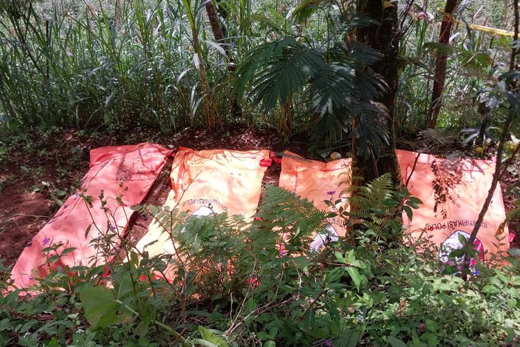 Dukun Pengganda Uang di Banjarnegara Bunuh 11 Orang, Terungkap dari Pesan WA