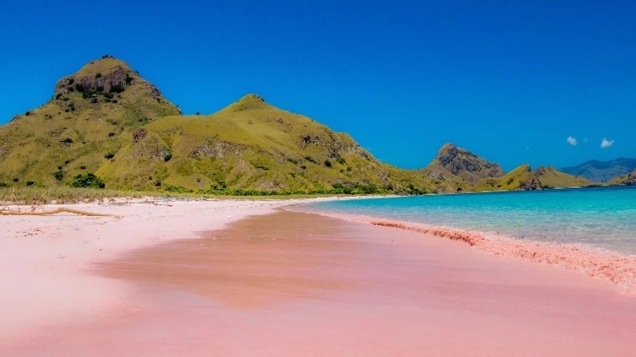 Pantai Pink