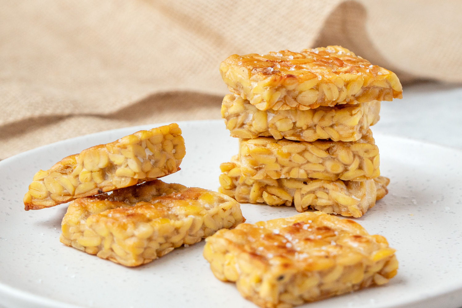 Tempe Goreng Jadi Makanan Vegan Terbaik Nomor Empat Versi TasteAtlas