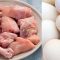 Bansos Ayam dan Telur akan Disalurkan Mulai Besok