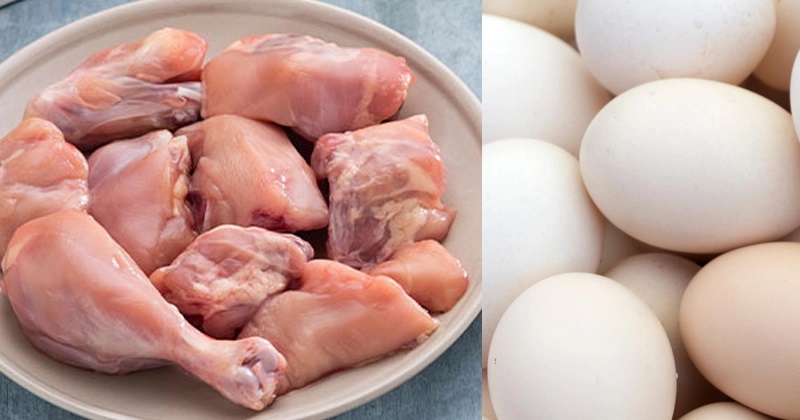 Bansos Ayam dan Telur akan Disalurkan Mulai Besok
