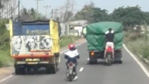 Bajing loncat