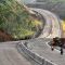 Tol Yogyakarta-Bawen. | ist
