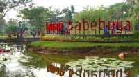 Taman Tabebuya