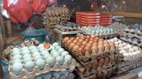 Penjual telur di Pasar Senen, Jakarta Pusat | Agnes Setiawati/forumkeadilan.com