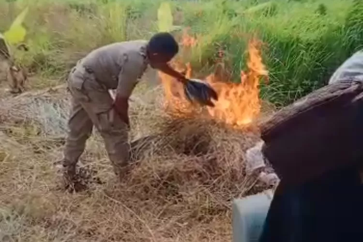 Aksi arogansi Satpol PP bakar ikan milik warga