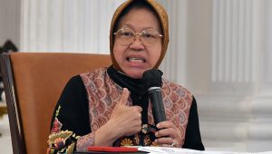Menteri Sosial Tri Rismaharini