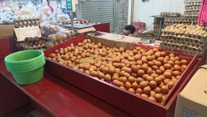 Penjual telur di Pasar Senen, Jakarta Pusat | Agnes Setiawati/forumkeadilan.com