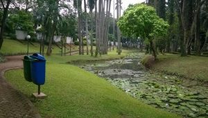 Taman Langsat yang berada di Jakarta Selatan