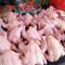 Bapanas Ungkap Penyebab Naiknya Harga Daging dan Telur Ayam