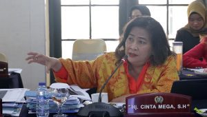 Cinta Mega