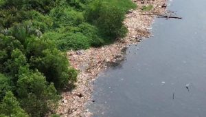 Potret tumpukan sampah di hutan mangrove, Muara Angke, Penjaringan, Jakarta Utara
