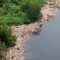 Potret tumpukan sampah di hutan mangrove, Muara Angke, Penjaringan, Jakarta Utara