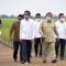 Proyek food estate Jokowi