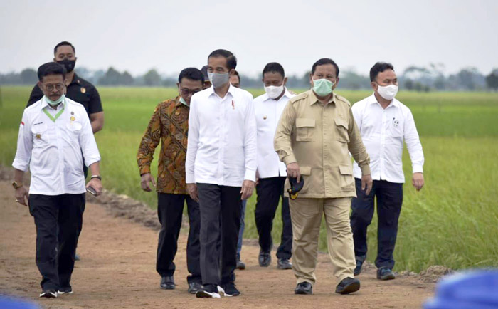 Proyek food estate Jokowi