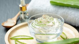 Ilustrasi aloe vera