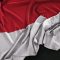Ilustrasi bendera merah putih