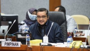 Dede Yusuf, anggota Komisi X DPR RI