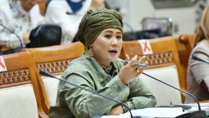 Luluk Nur Hamidah, Anggota DPR Komisi VI