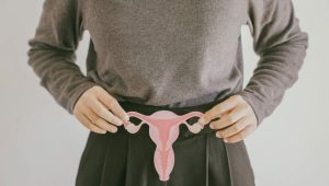 Ilustrasi alat kelamin wanita