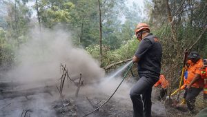 Kebakaran hutan dan lahan Bukit Teletubbies Bromo