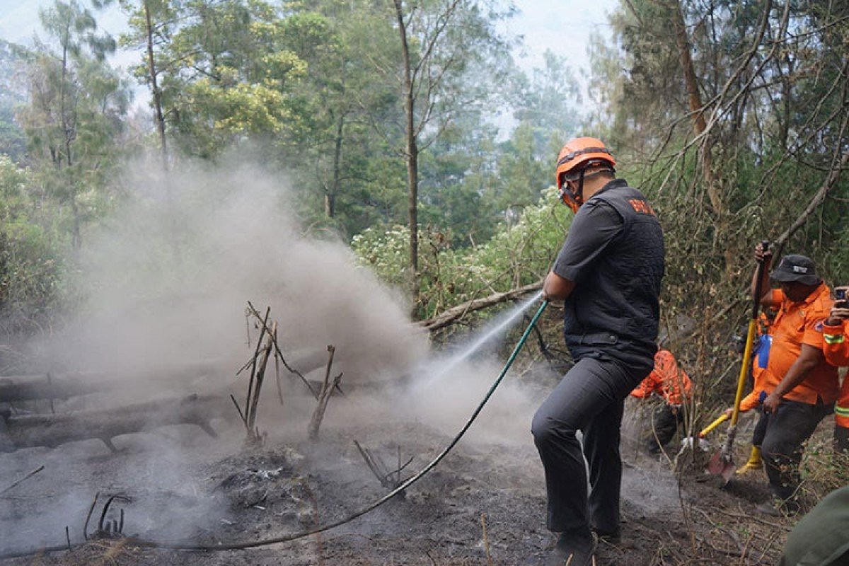 Kebakaran hutan dan lahan Bukit Teletubbies Bromo