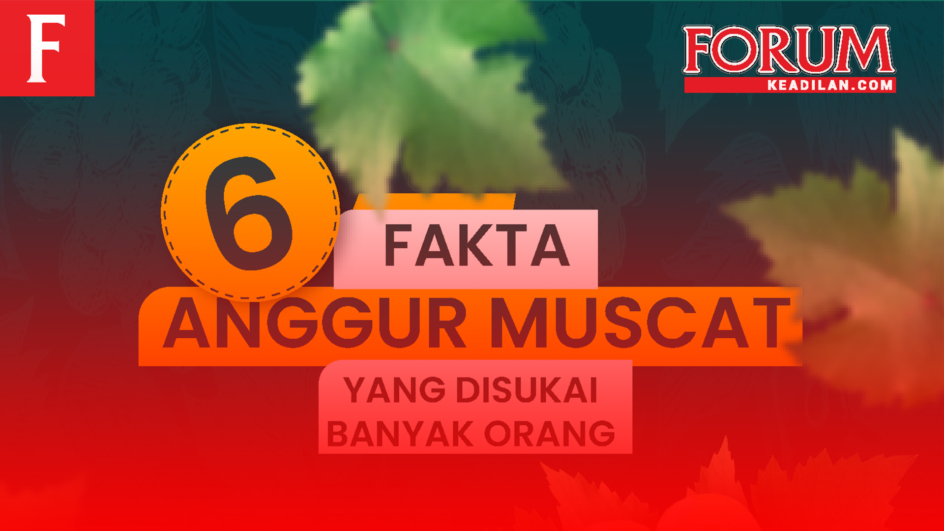 6 FAKTA ANGGUR MUSCAT YANG DISUKAI BANYAK ORANG