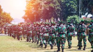 Ilustrasi TNI