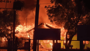 Sejumlah Bangunan Terbakar di Waena, Jayapura, Kamis, 28/12/2023 | Dok -Polda Papua