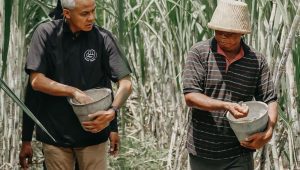 Momen calon presiden nomor urut 3 Ganjar Pranowo blusukan temui para petani di Nganjuk, Jawa Timur, Jumat, 12/1/2024 | Instagram @ganjarpranowo