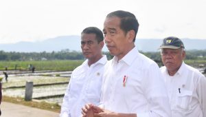 Presiden Joko Widodo (Jokowi) meninjau kegiatan tanam padi di Kecamatan Kalibagor, Kabupaten Banyumas, dalam kunjungan kerjanya ke Provinsi Jawa Tengah, pada Rabu, 3/1/2024 | Dok - Biro Sekretariat Presiden
