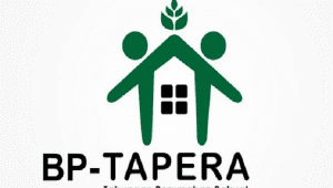 Logo BP-Tapera | Ist