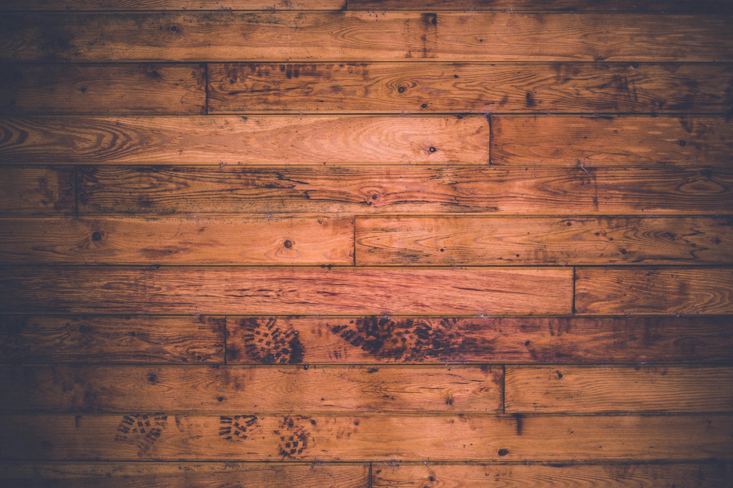 Tips Hapus Background Foto di Canva yang Belum Pro