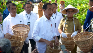 Presiden Joko Widodo (Jokowi) memberikan keterangan pers Usai meninjau panen kopi, Lampung Barat, Jumat, 12/7/2024 | YouTube Sekretariat Presiden