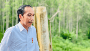 Presiden Joko Widodo di IKN | Website Kemensetneg