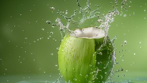 Ilustrasi kelapa