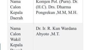 Contoh NIK yang Dicatut untuk Mendukung Dharma Pongrekun-Kun Wardana | Ist