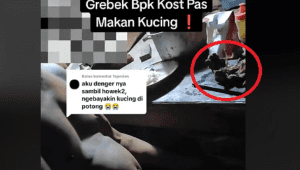 Bapak Kos Kepergok Makan Daging Kucing | Ist